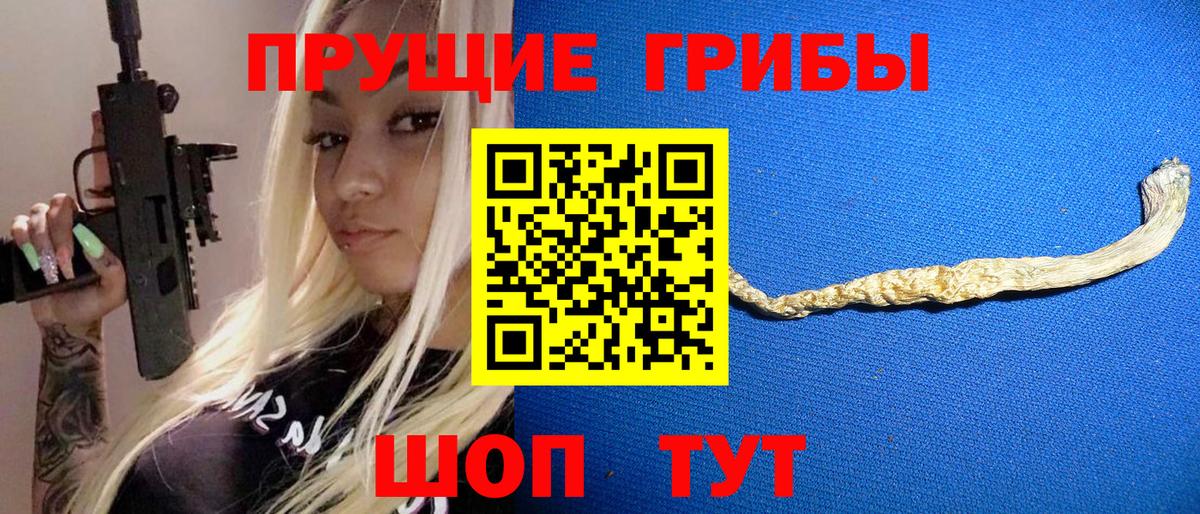 Псилоцибиновые грибы GOLDEN TEACHER Сибай
