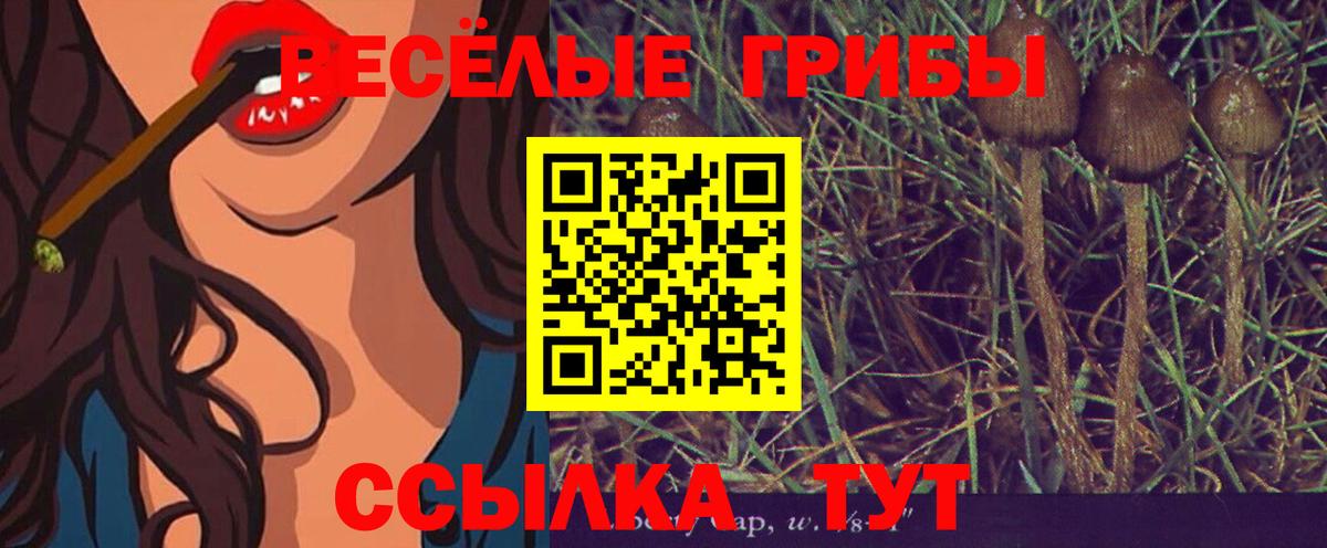 Галлюциногенные грибы прущие грибы  где можно купить   Сибай  Вход с VPN  Псилоцибиновые грибы мухоморы 